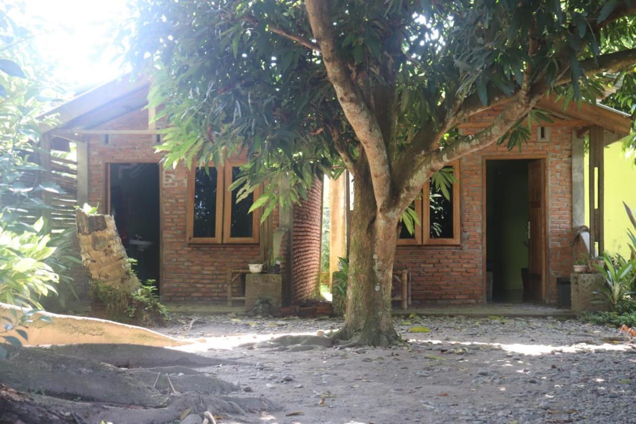 Jhony'S Backpacker-Guest House Only Stay Here Book Treking With Us ブキットラワン エクステリア 写真