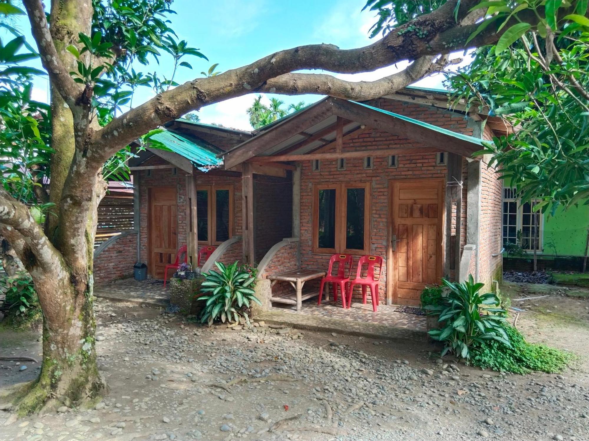 Jhony'S Backpacker-Guest House Only Stay Here Book Treking With Us ブキットラワン エクステリア 写真